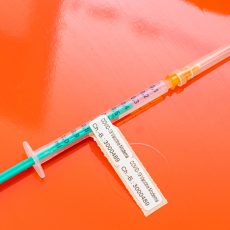 Landgericht Halle eröffnet nicht das Verfahren in der “Impfaffäre”